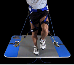 СИЛОВЫЕ ТРЕНАЖЕРЫ VERTIMAX